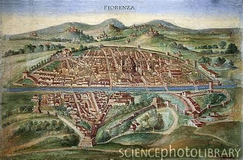 picture of 16th century florence mandrake pinterest florence