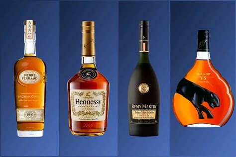 cognac brands  drink   occasion