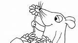 Maus Elefant Ausmalbilder Blumen Wdr Sendung Wdrmaus Herunterladen sketch template