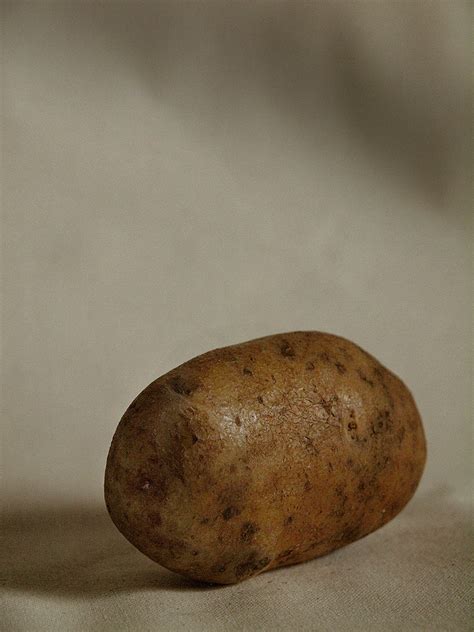 pictures   potato