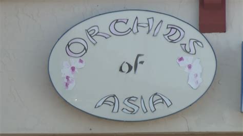 orchids  asia review  types  massages  offered