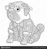 Zentangle Pug Colouring Carlino Cane Coloritura Hond Kleurende Mop Doodle sketch template