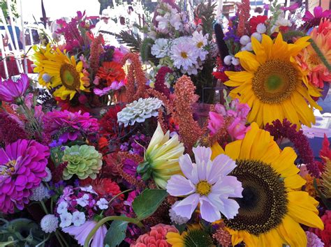 fm floral farmers market marketing sunflowers lust floral plants