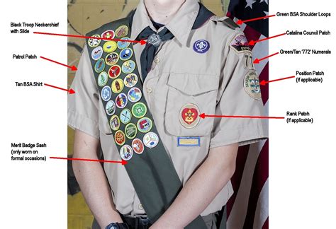 boy scouts sash patch placement einsteinartillustrationblackandwhite