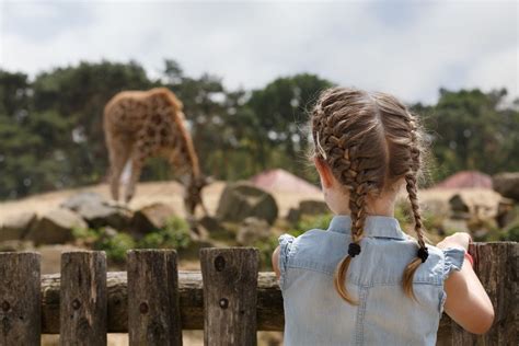 coronaproof uitje met kinderen safarikpark beekse bergen weer open voor publiek