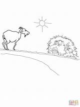 Troll Tegninger Gruff Goats Question Trolden Taler Midterste Bruse Bukke Farvelaegning sketch template