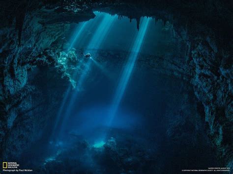 free scuba diving wallpapers wallpaper cave