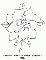 Magnolia Bestcoloringpagesforkids Template sketch template