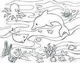 Marine Coloring Space Pages Getcolorings sketch template
