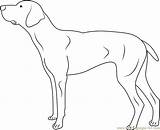 Doberman Coloring Pages Dog Dogs Kids Coloringpages101 Color Printable Online Mammals sketch template