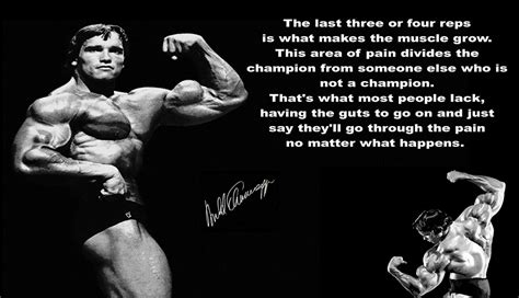 arnold schwarzenegger bodybuilding fitness motivational quotes fabric