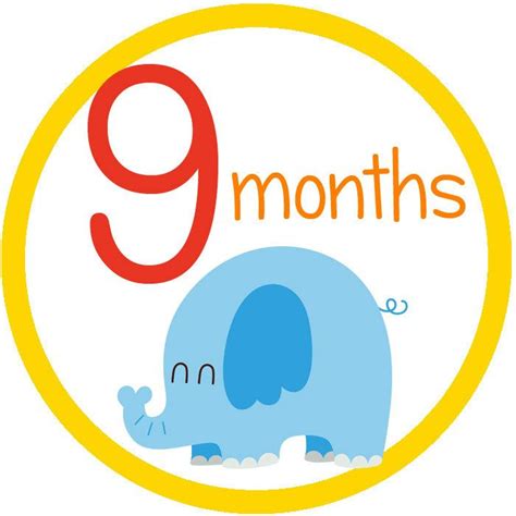 months baby  pinterest