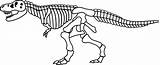 Dinosaur Skeleton Bones Pluspng Coloring Dinosour sketch template