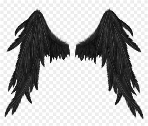 demon wings  background hd png   pngfind