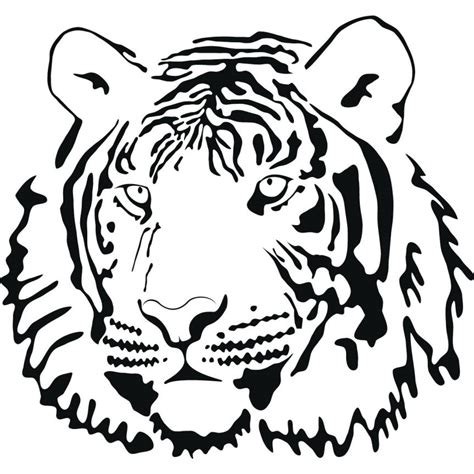 baby tiger clipart    clipartmag