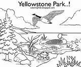 Yellowstone Coloring National Park Pages Getdrawings Lovely Getcolorings sketch template