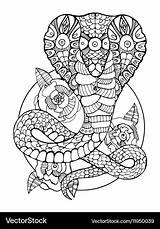 Coloring Snake Cobra Book Adults Vector Royalty sketch template