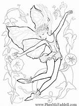 Coloring Pages Fairy Fantasy Enchanted Adults Mermaid Adult Morning Glory Phee Mcfaddell Books Fairies Colouring Designs Line Clipart Print Pheemcfaddell sketch template