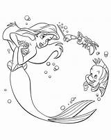Ariel Disney Coloring Sebastian Pages Flounder Walt Fanpop Princess Characters sketch template