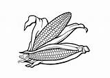 Coloring4free Maize Corn1 sketch template