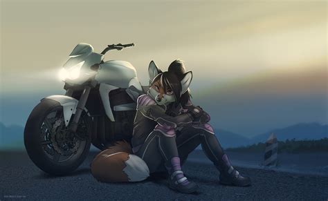 furry anthro motorcycle wallpapers hd desktop and mobile backgrounds
