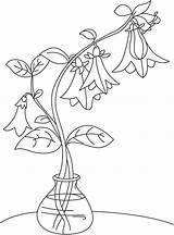 Bellflower Pot Coloring Choose Board Embroidery Patterns Bestcoloringpages sketch template