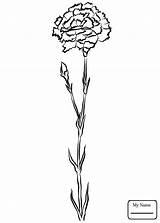Carnation Simple Drawing Clipartmag Flower sketch template