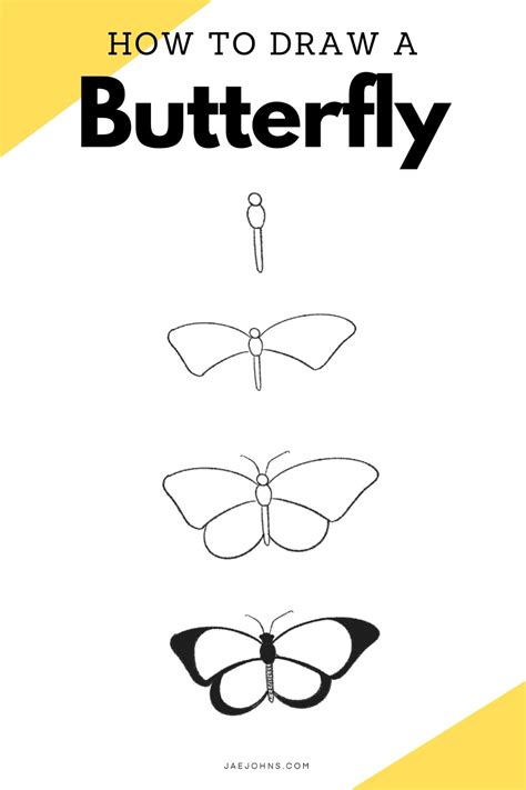draw  butterfly  easy steps jae johns