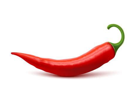 red hot chili pepper realistic image  vector art  vecteezy
