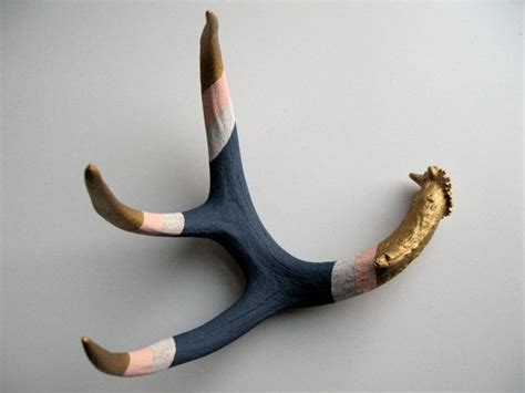 17 Best Images About Antlers On Pinterest Horns Antlers