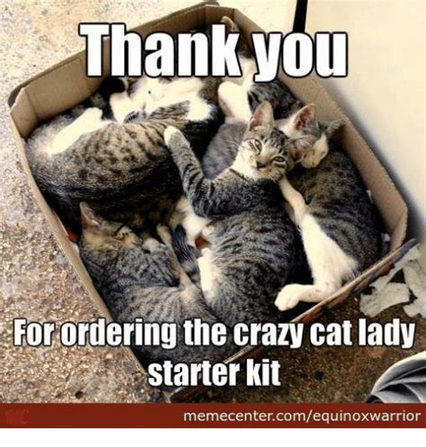 25 Best Memes About Crazy Cat Lady Starter Kit Crazy