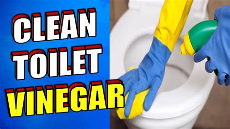 clean  toilet  vinegar youtube