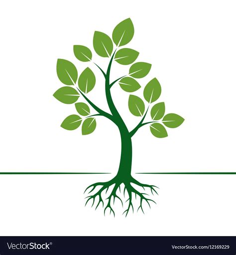 green tree  roots royalty  vector image