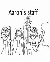 Rod Coloring Pages Budded Aarons Biblehead Mr Mrbiblehead Posted Am Template sketch template