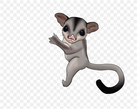 sugar glider cliparts   sugar glider cliparts png images  cliparts