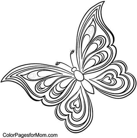 butterfly coloring page  butterfly coloring page   draw hands