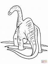 Apatosaurus Apatosaurio Dinosaurier Dinosaurio Apatosauro Disegni Dinosaur Dinosauri Ausmalbild Camptosaurus Dibujos Ausdrucken sketch template