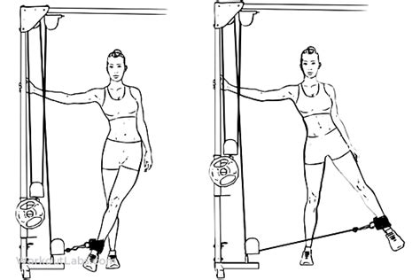 Cable Hip Abduction Adduction Workoutlabs Exercise Guide