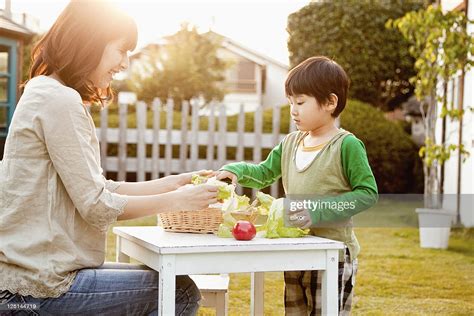 Japanese Mom And Son With Organic Vegetables In The Garden