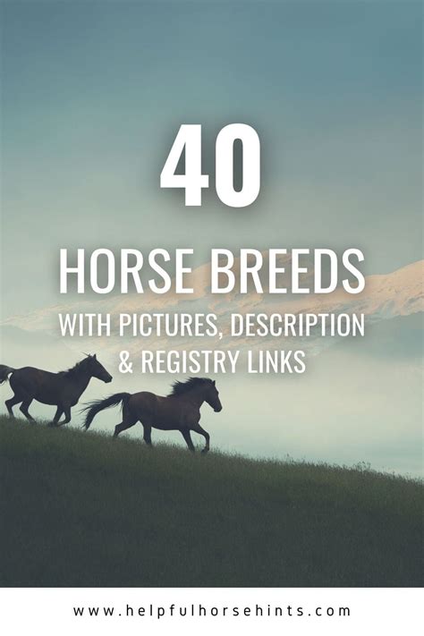 quarter horse bloodlines helpful horse hints