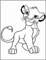 Lion Simba Roi Coloring Pages Printable King sketch template