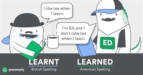 learned  learnt grammarly