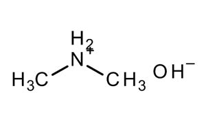 cas dimethylamine solution amines amine salts article