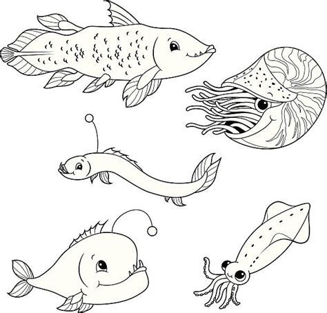 deep sea fish illustrations royalty  vector graphics clip