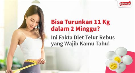 Bisa Turunkan 11 Kg Dalam 2 Minggu Ini Fakta Diet Telur Rebus Yang