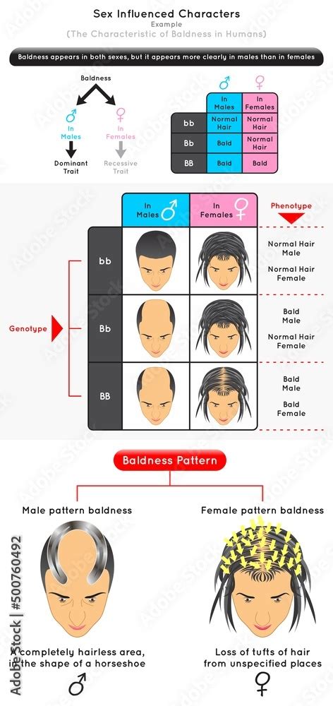 Vektorová Grafika „sex Influenced Characters Infographic Diagram