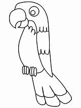 Coloring Pages Printable Pirate Parrot Birds Animals Book Coloringpagebook Print Craft sketch template