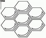 Honeycomb Designlooter sketch template
