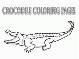 Crocodile Coloring Pages Outline Drawing Color Crocodiles Colour Printable Kids Alligator Clipart Easy Simple Sheet Library Collection Paintingvalley Books Popular sketch template