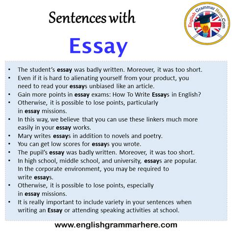 sentences    essay   sentences   essay
